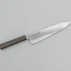 Hatsukokoro Ryuhyo SG2 Damast Ebony Kiritsuke Gyuto 21 cm