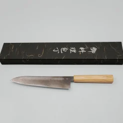 Hatsukokoro Ryuhyo SG2 Damast Olive Black Coating Gyuto 21 cm