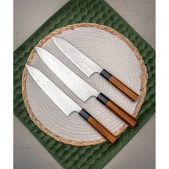 Hatsukokoro Saihyo SG2 Damast Gyuto 24 cm