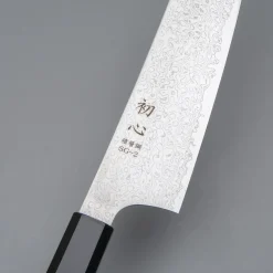 Hatsukokoro Saihyo SG2 Damast Gyuto 21 cm