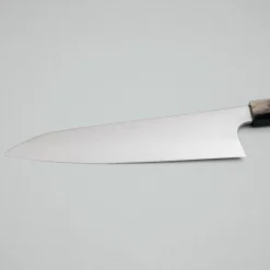 Hatsukokoro Saihyo SG2 Damast Gyuto 21 cm