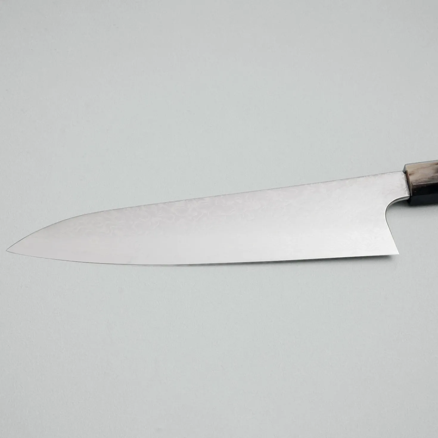 Hatsukokoro Saihyo SG2 Damast Gyuto 21 cm