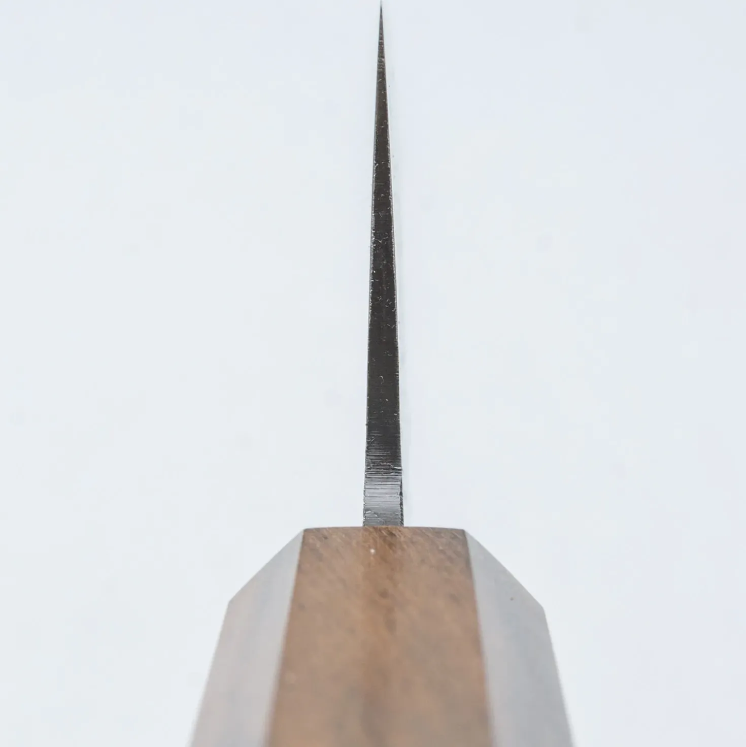 Hatsukokoro Shikkoku Aogami #2 Santoku 17 cm