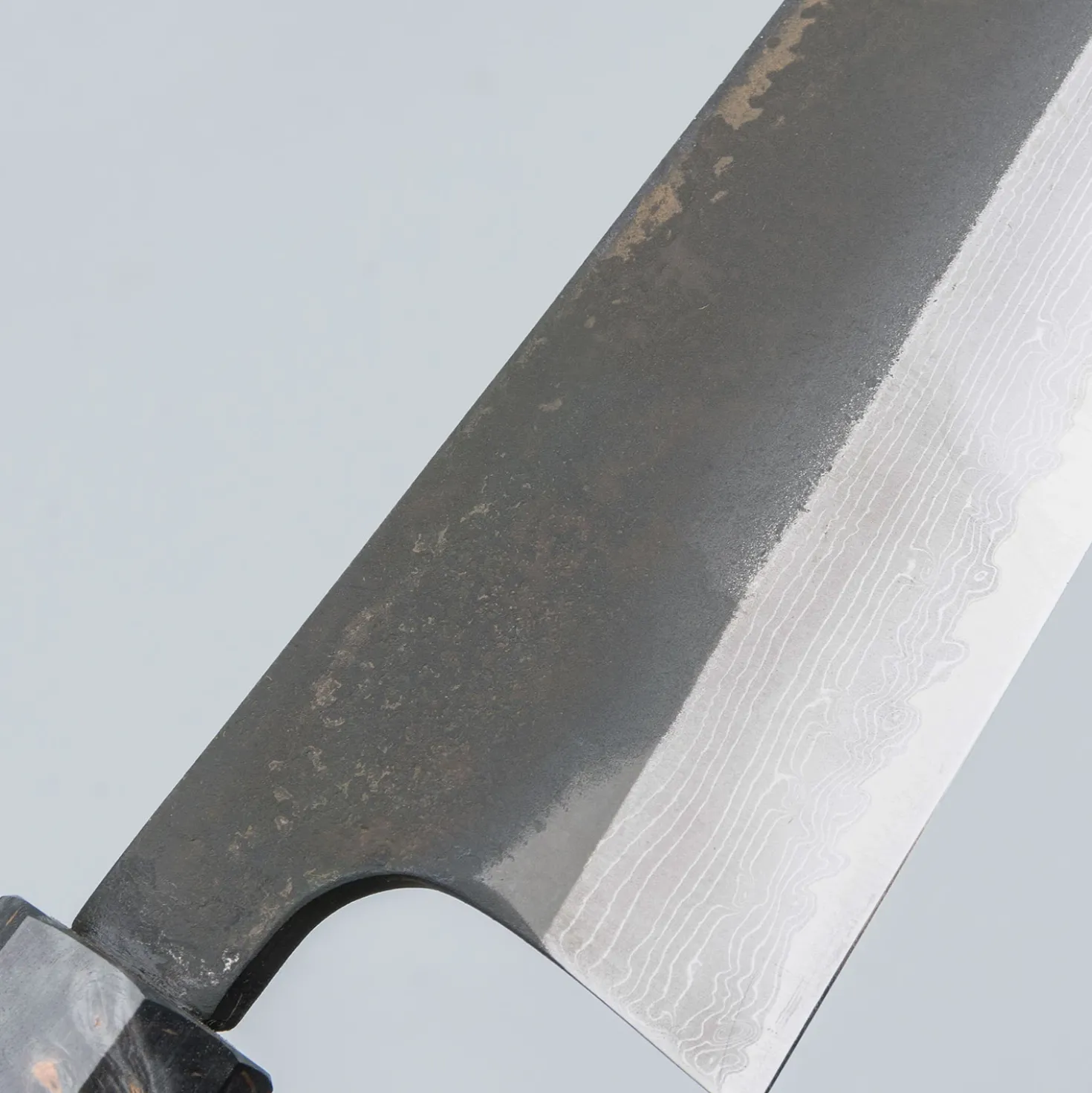 Hatsukokoro Shinkiro Aogami Super Birch Gyuto 24 cm