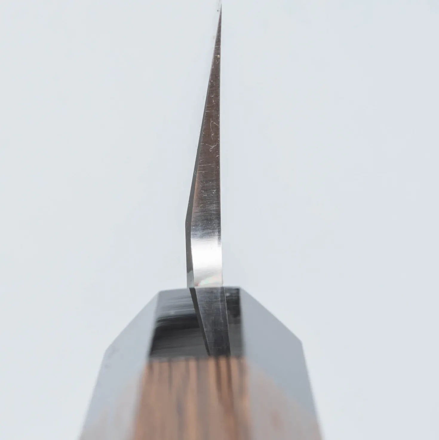 Hatsukokoro Shirasagi Single Bevel Kiritsuke 24 cm