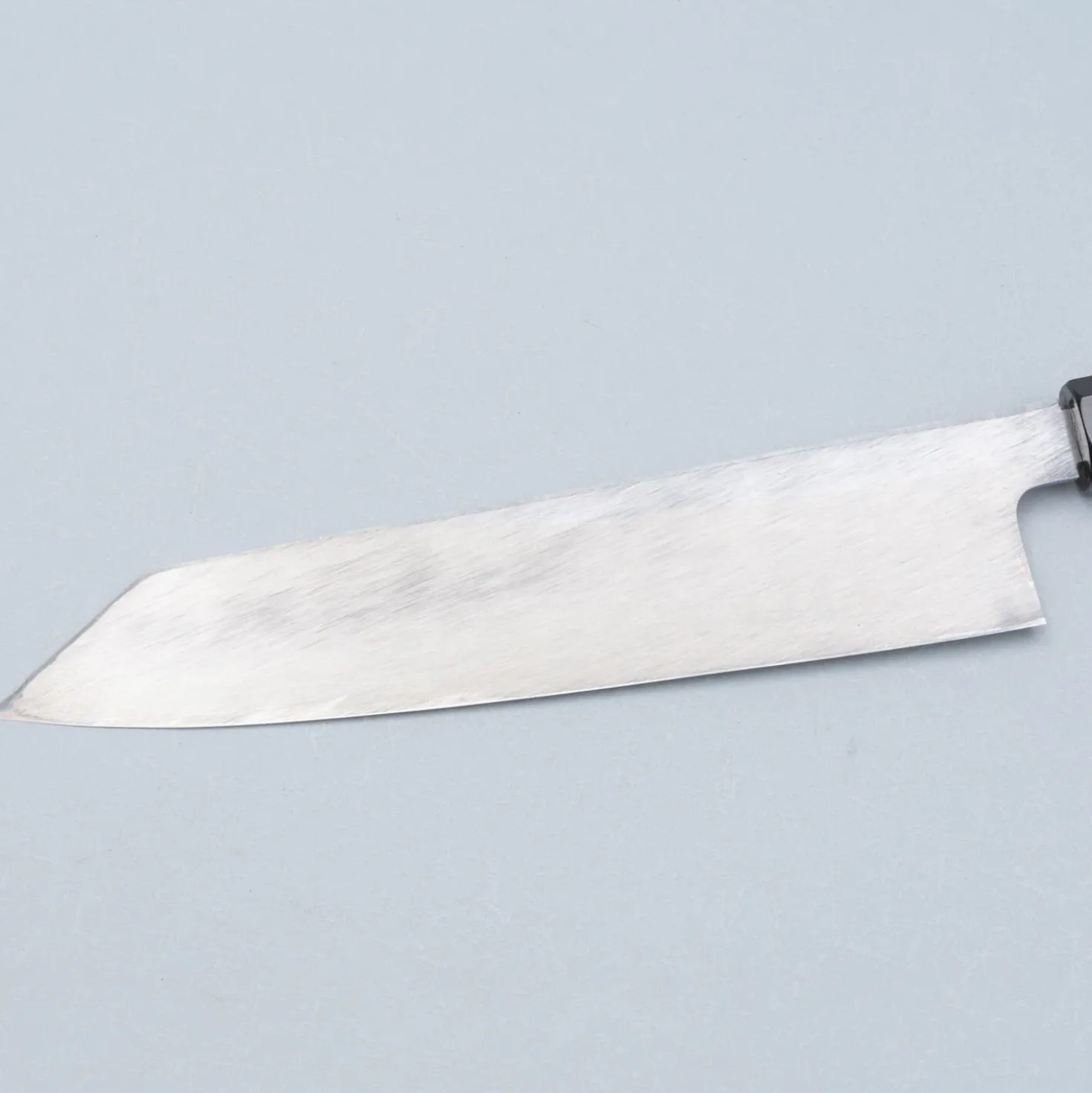 Hatsukokoro Shirasagi Single Bevel Kiritsuke 24 cm
