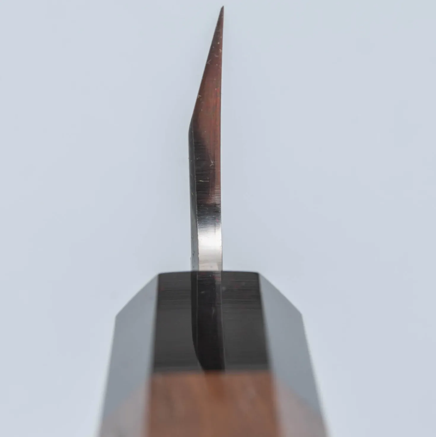 Hatsukokoro Shirasagi Single Bevel Honesuki 15 cm