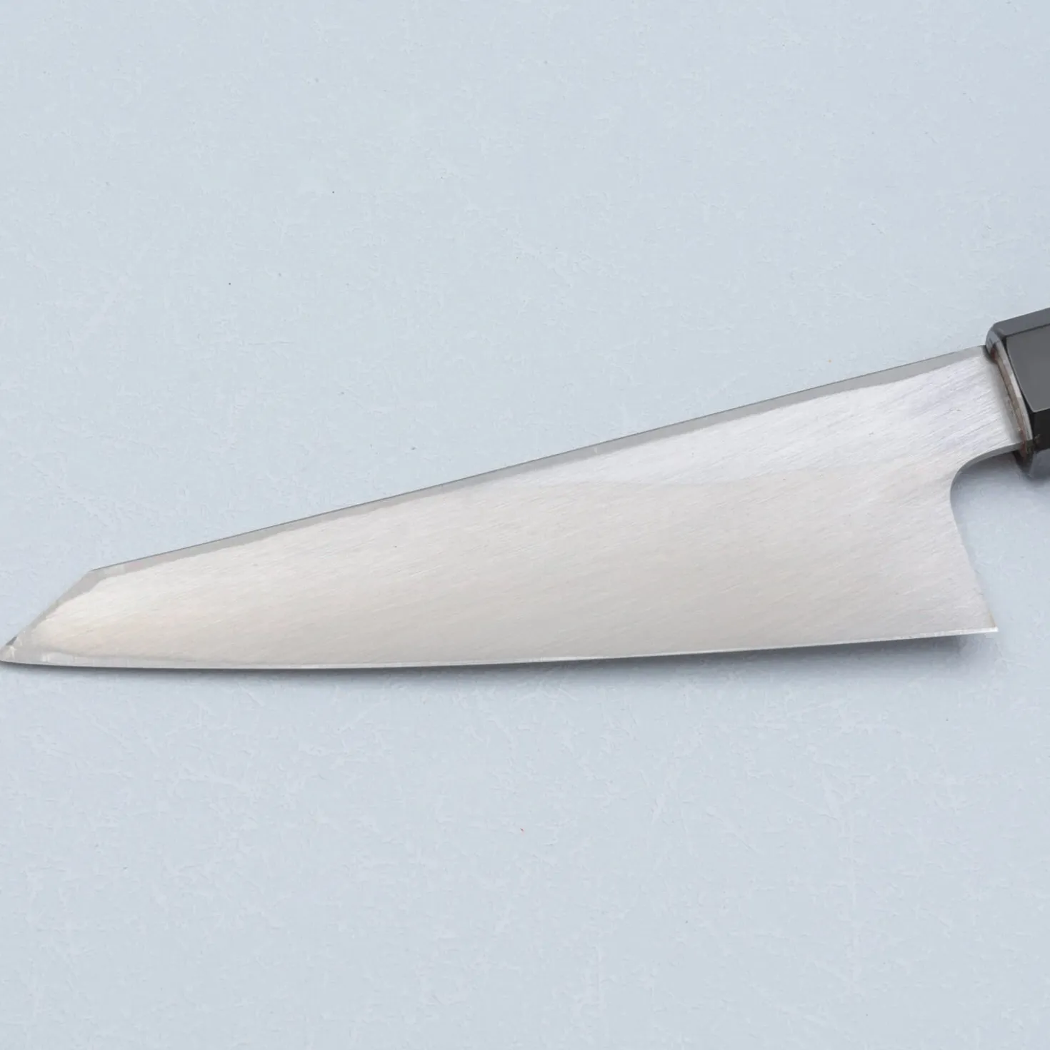 Hatsukokoro Shirasagi Single Bevel Honesuki 15 cm