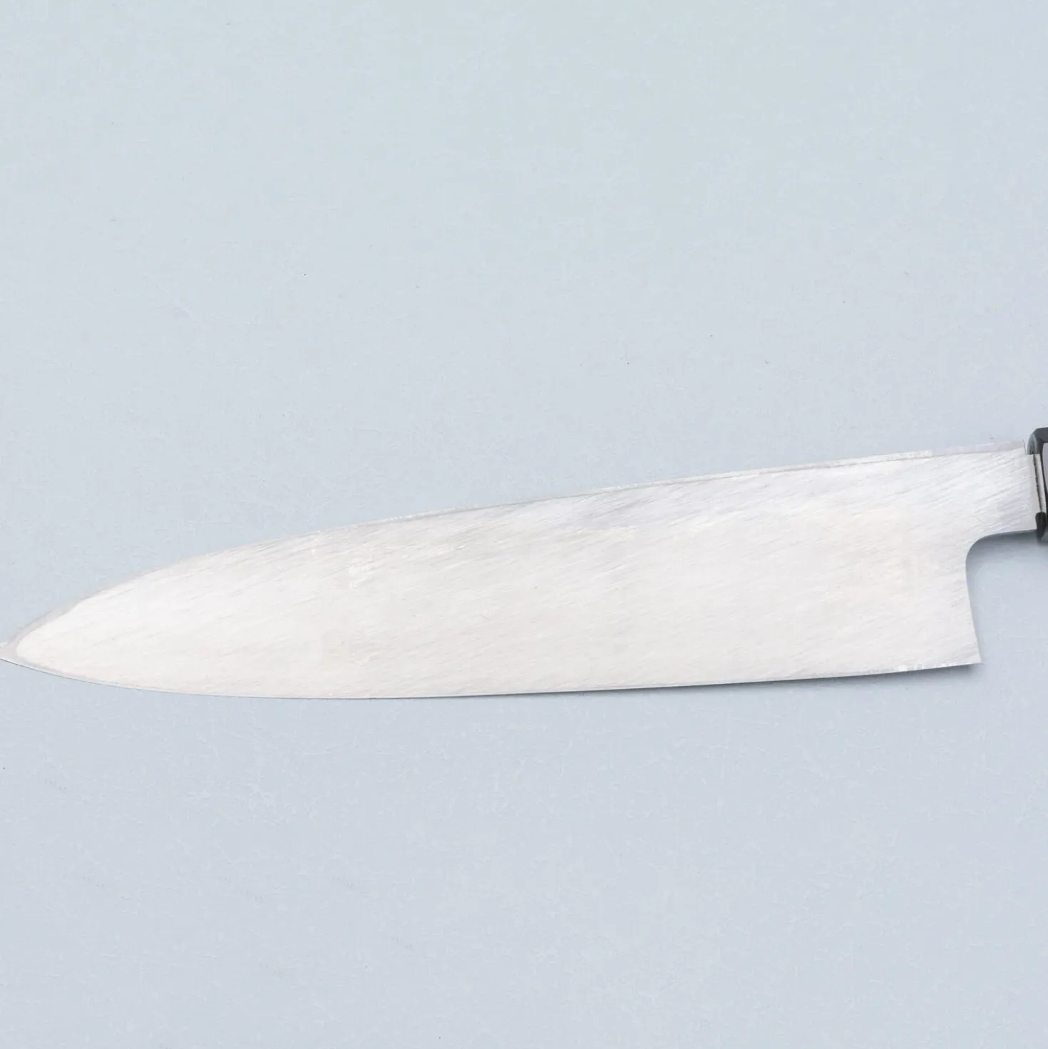 Hatsukokoro Shirasagi Single Bevel Gyuto 21 cm