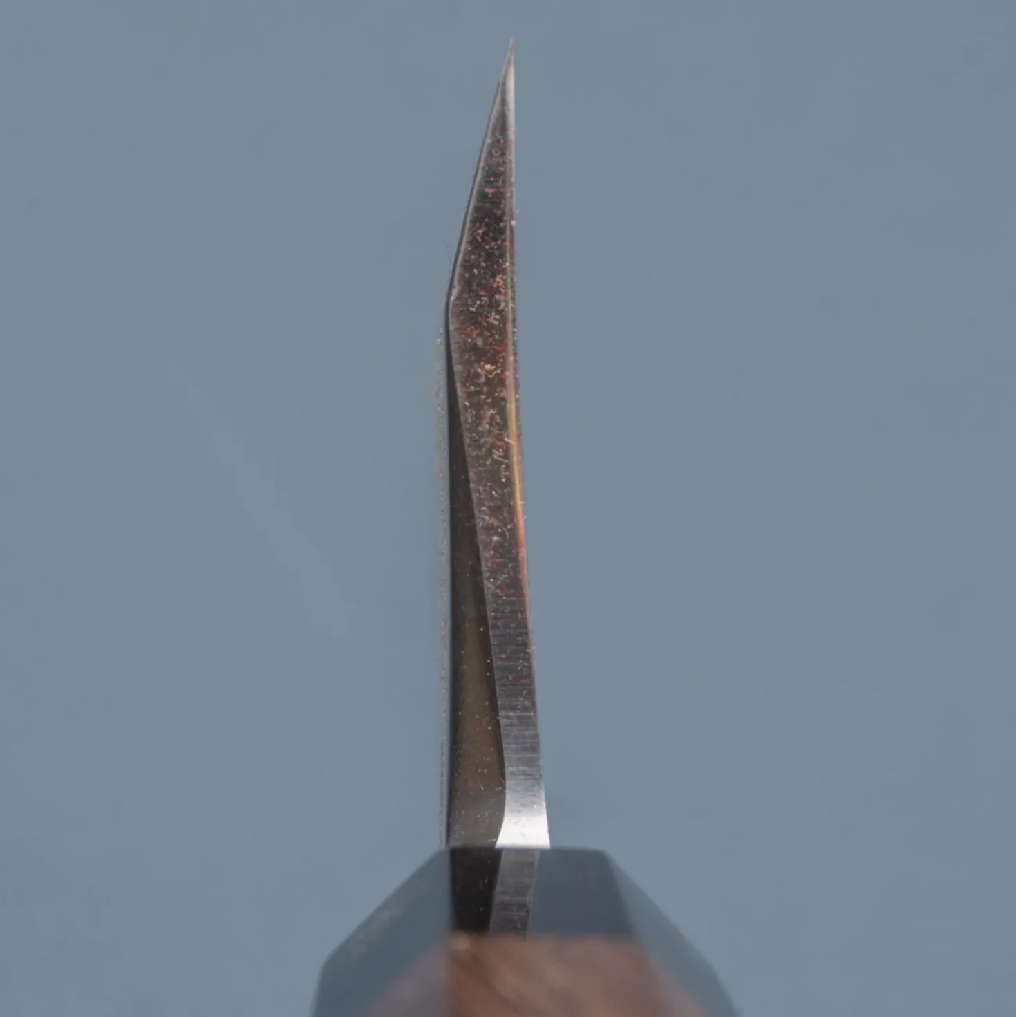 Hatsukokoro Shirasagi Single Bevel Deba 19.5 cm