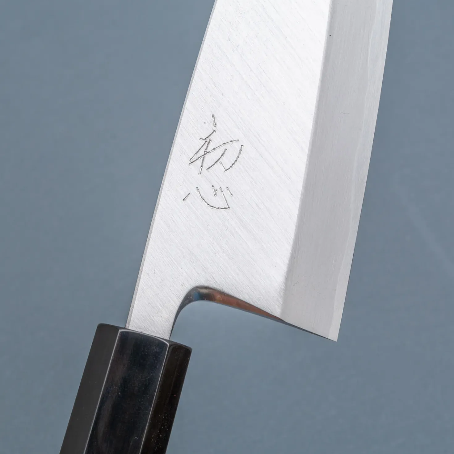 Hatsukokoro Shirasagi Single Bevel Deba 15 cm