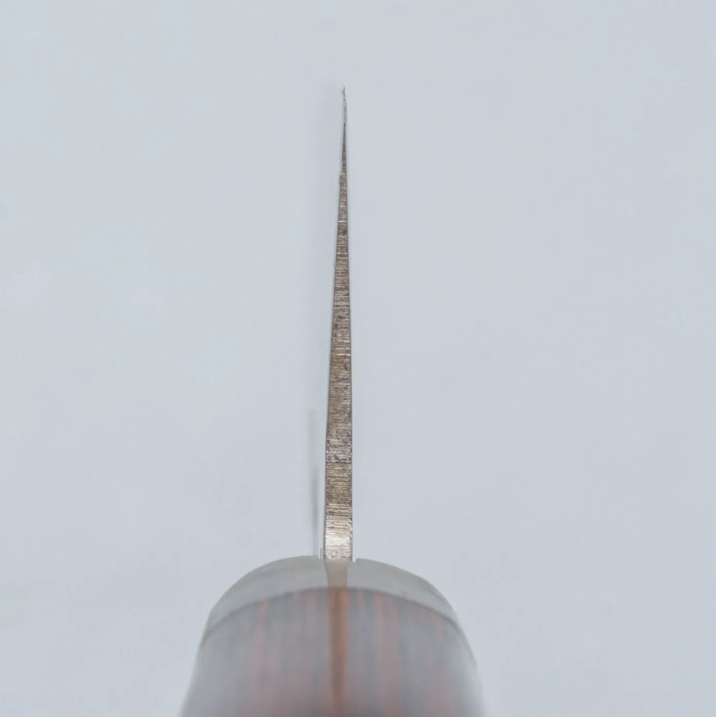 Hayashi Kogyo SLD Gyuto 18 cm