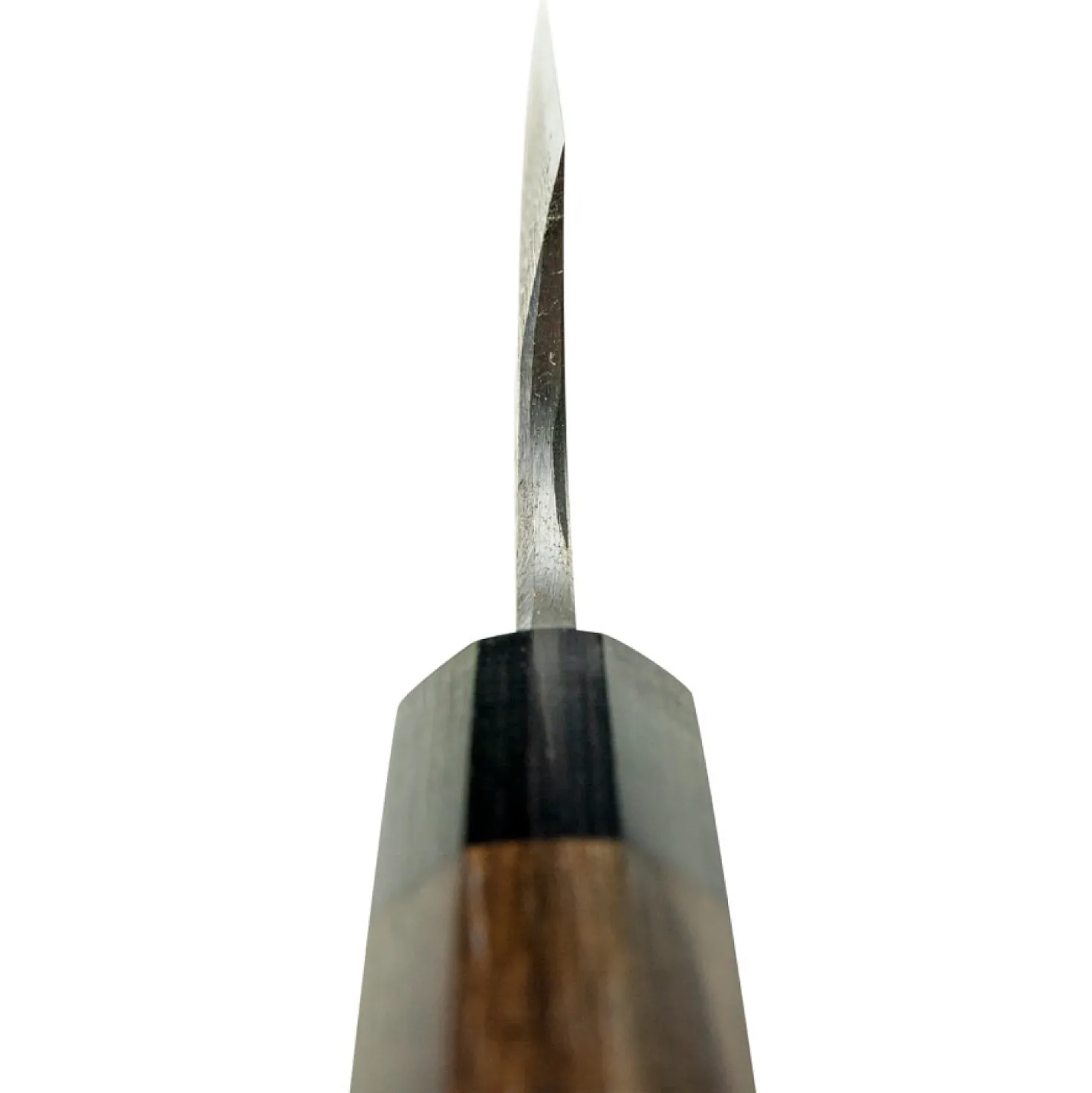 Hideo Kitaoka Shiro Funjaki 18 cm