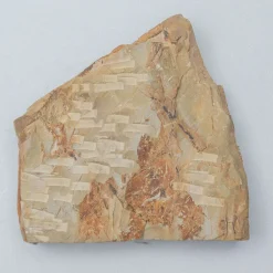 Hideriyama Koppa 19 x 19 x 4.5 cm