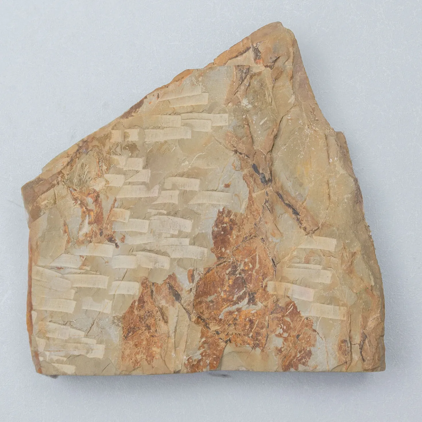 Hideriyama Koppa 19 x 19 x 4.5 cm
