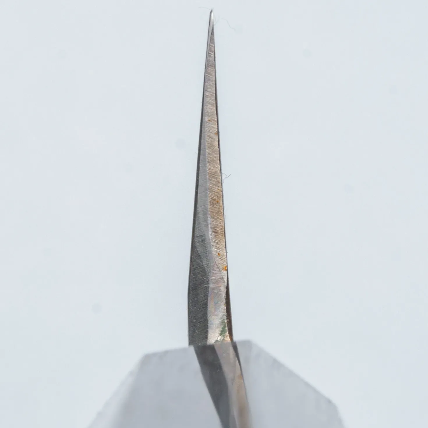 Hide Shirogami #2 Single Bevel Kiritsuke 24 cm