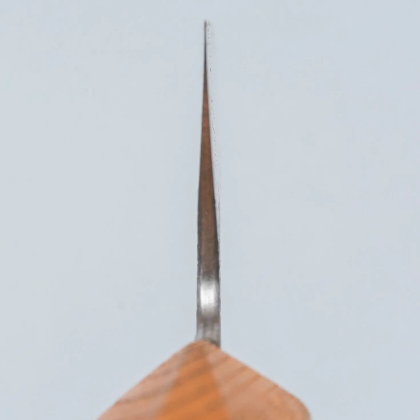 Isamitsu Shirogami #1 Kiritsuke 21 cm