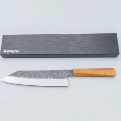 Isamitsu Shirogami #1 Kiritsuke 21 cm