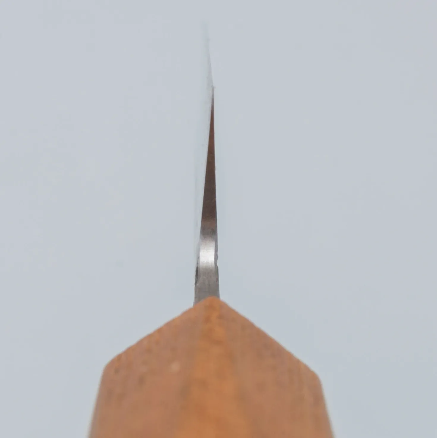 Isamitsu Shirogami #1 Petty 13.5 m