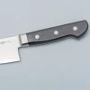 Ittetsu Aogami Super Western Gyuto 21 cm