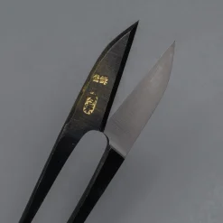 Japanse Kruidenschaar 12 cm