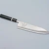 JNS Kaeru Kasumi Frog SLD Gyuto 21 cm Birch