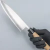 JNS Kaeru Kasumi SLD Gyuto 21 cm