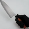 JNS Kaeru Kasumi SLD Rosewood Gyuto 21 cm