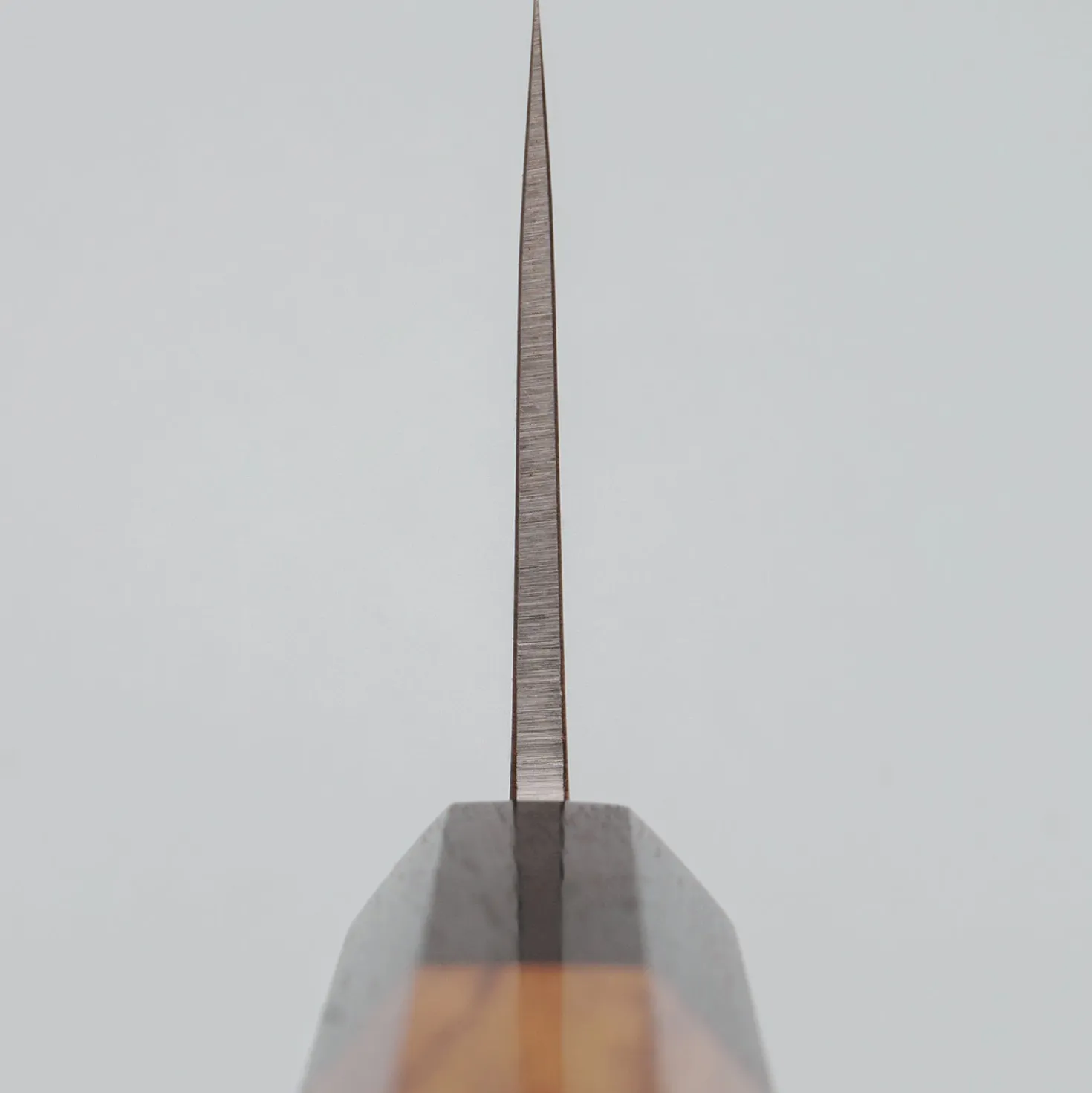 JNS Kaeru Kasumi SLD Rosewood Gyuto 21 cm