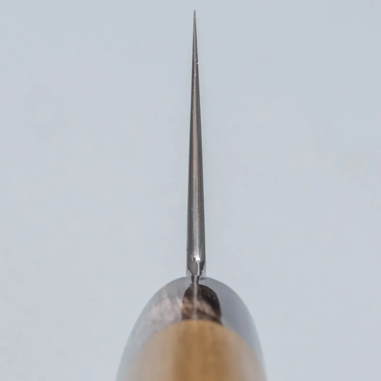 JNS Kawachi Kasumi Shiro #2 Gyuto 24 cm