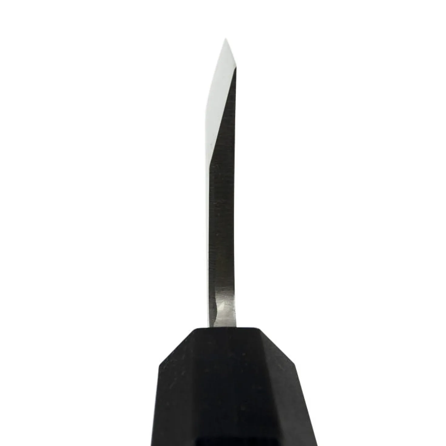 Kai Seki Magoroku Kinju Deba 18 cm