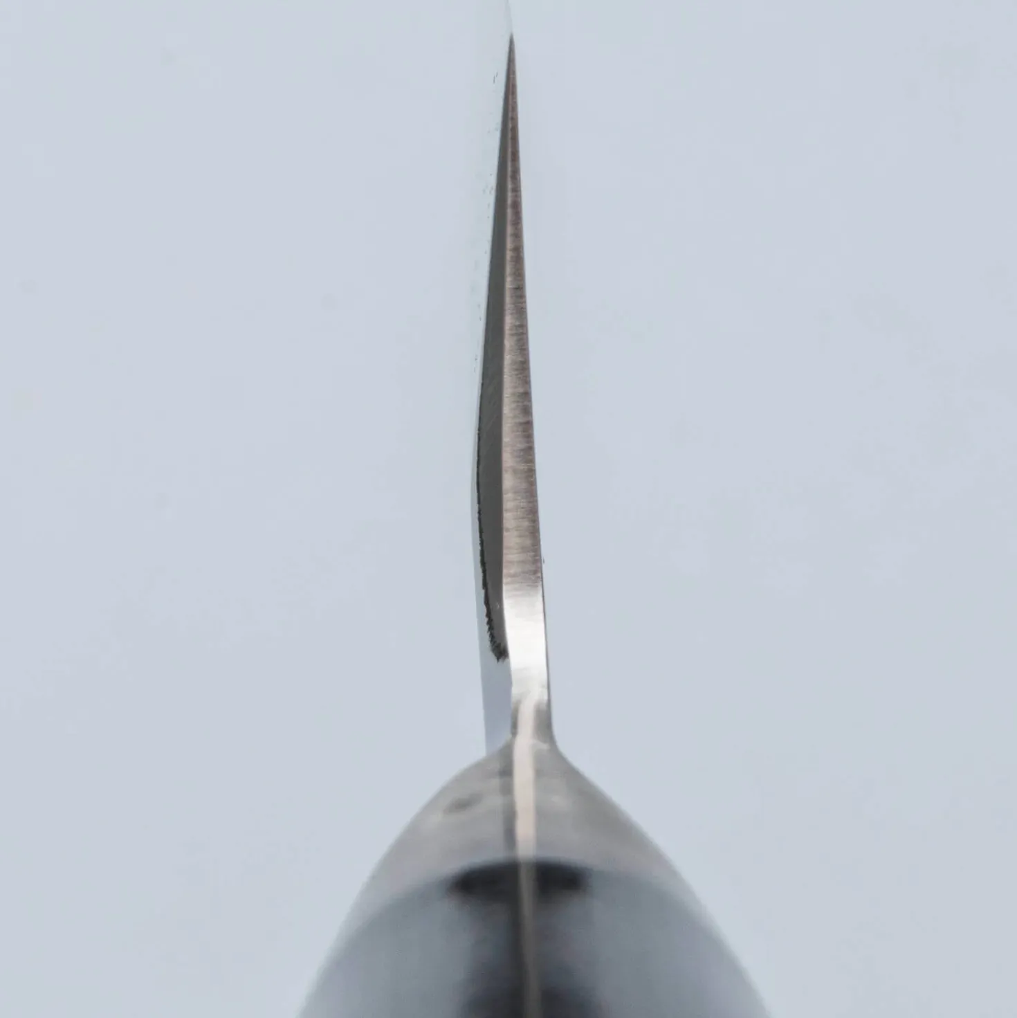 Kai Shun Pro Sho Usuba 16,5 cm