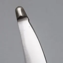 Kanetsune Singlebevel Chousaki
