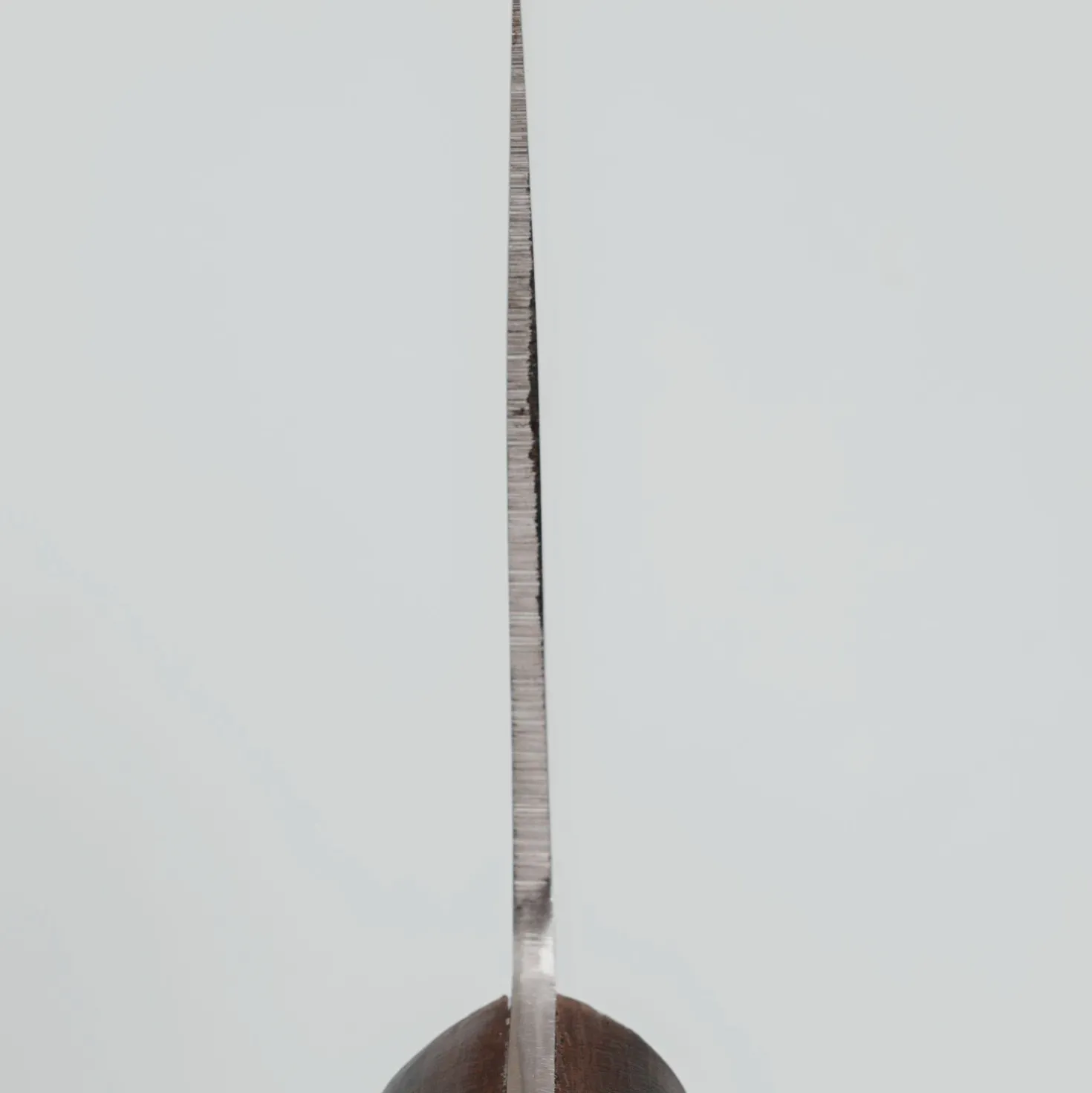 Kanetsune SK-4 Chinese Cleaver 22 cm