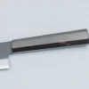 Kazoku Aogami 2 Kurouchi Gyuto 21 cm