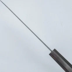 Kazoku Aogami 2 Kurouchi Gyuto 21 cm