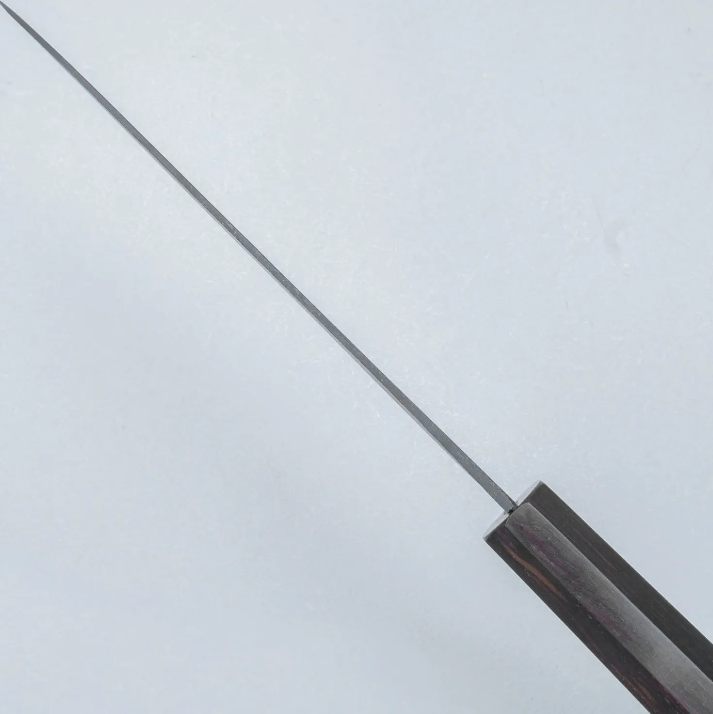 Kazoku Aogami 2 Kurouchi Gyuto 21 cm