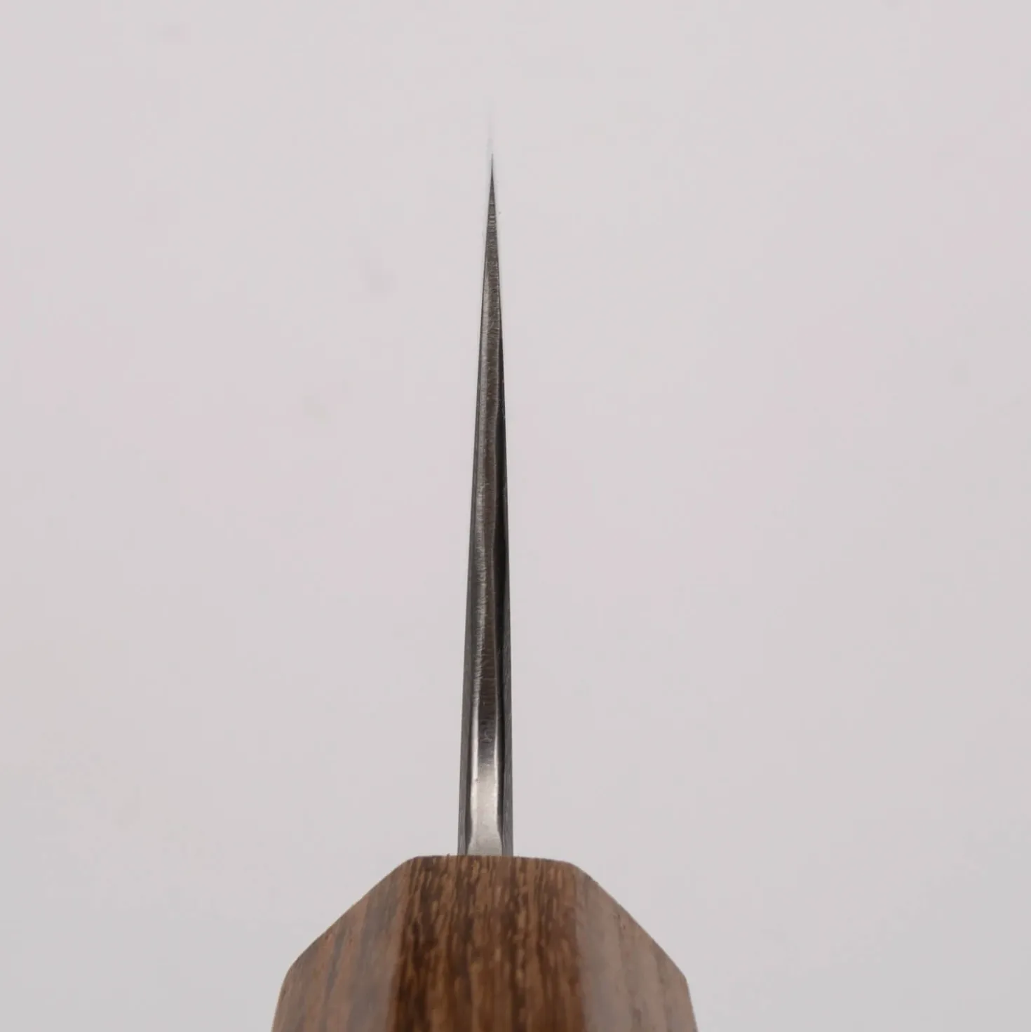 Kazoku Ginsan Migaki Gyuto 24 cm