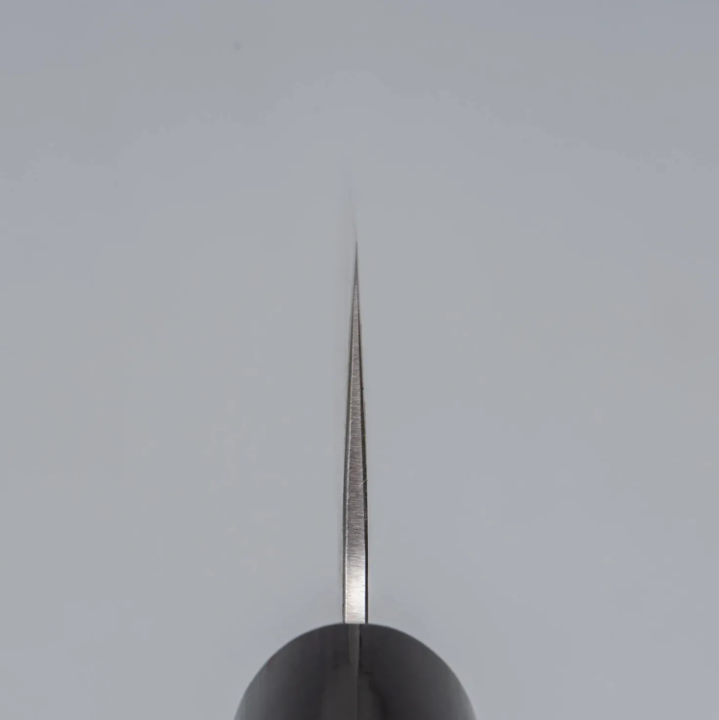 Kazoku Ginsan Nashiji Kiritsuke 21 cm