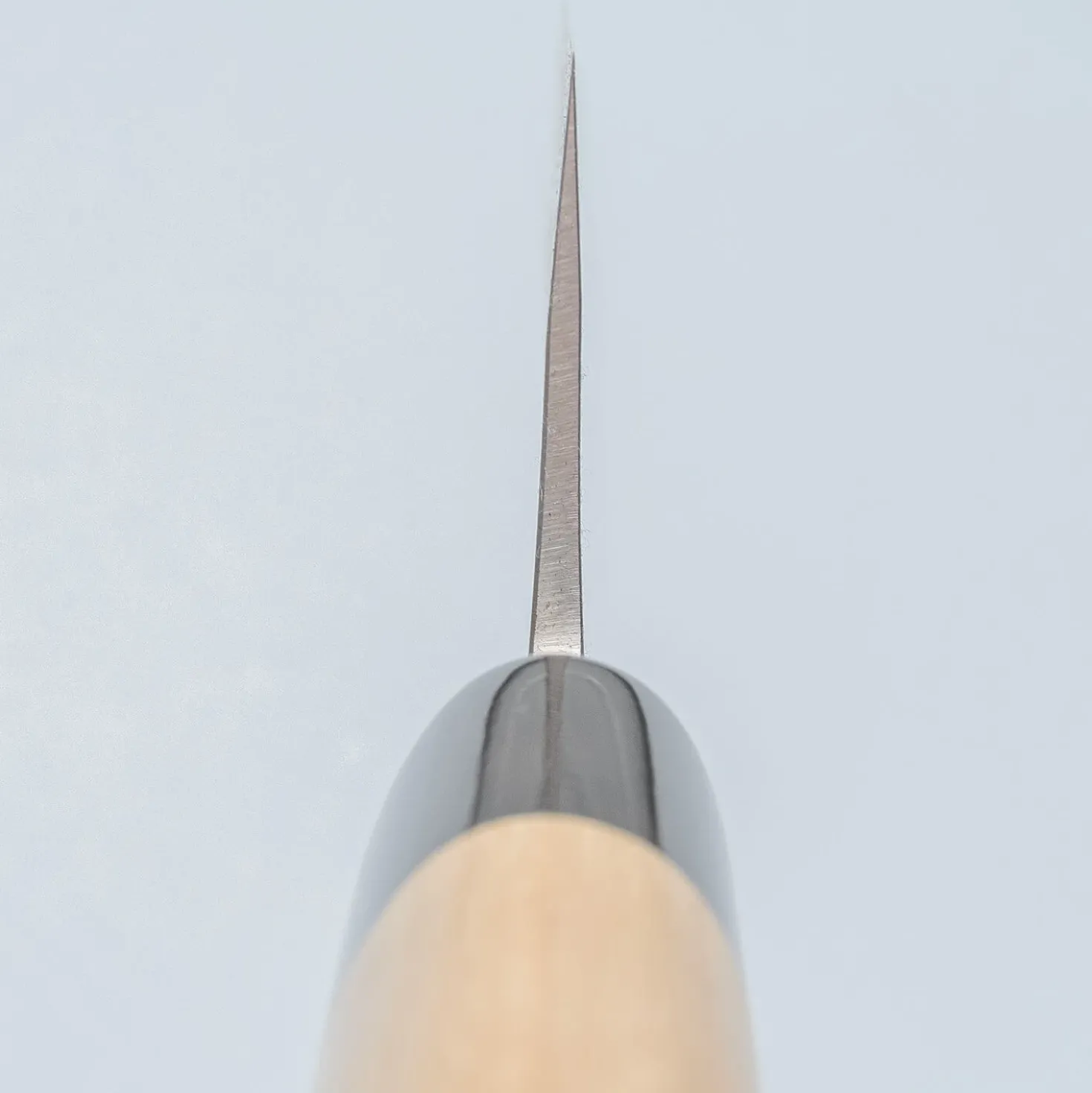 Kazoku Kage Aogami Gyuto 24 cm