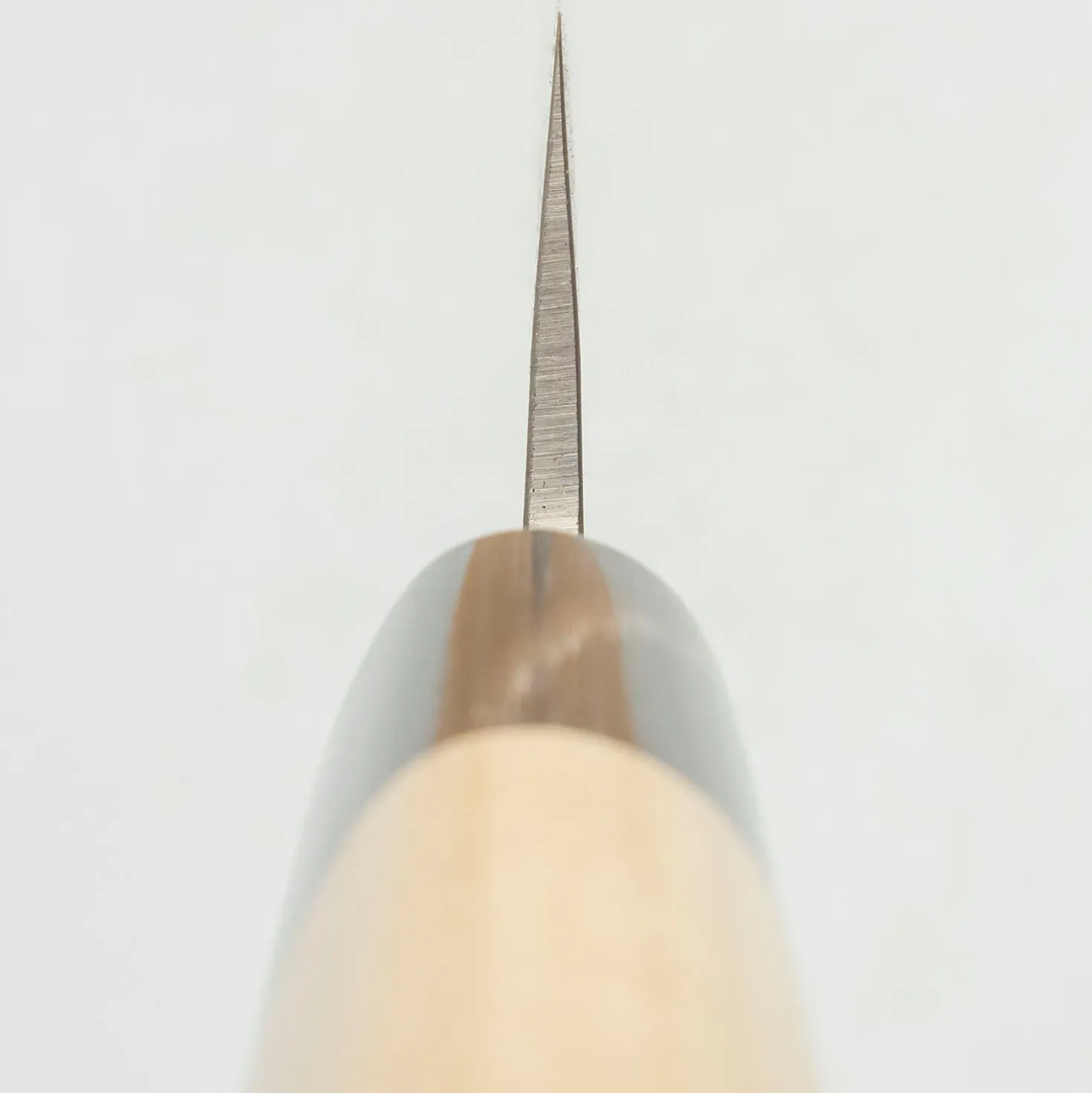 Kazoku Kage Aogami Sujihiki 27 cm