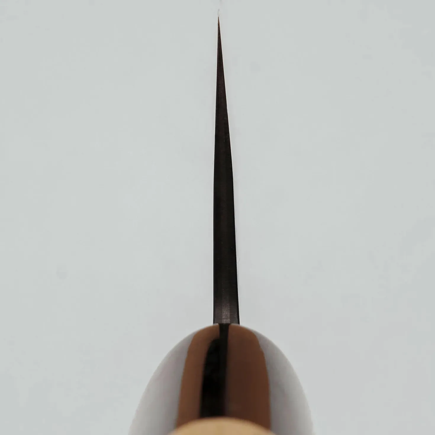 Kazoku Kaji Black Bunka 17 cm