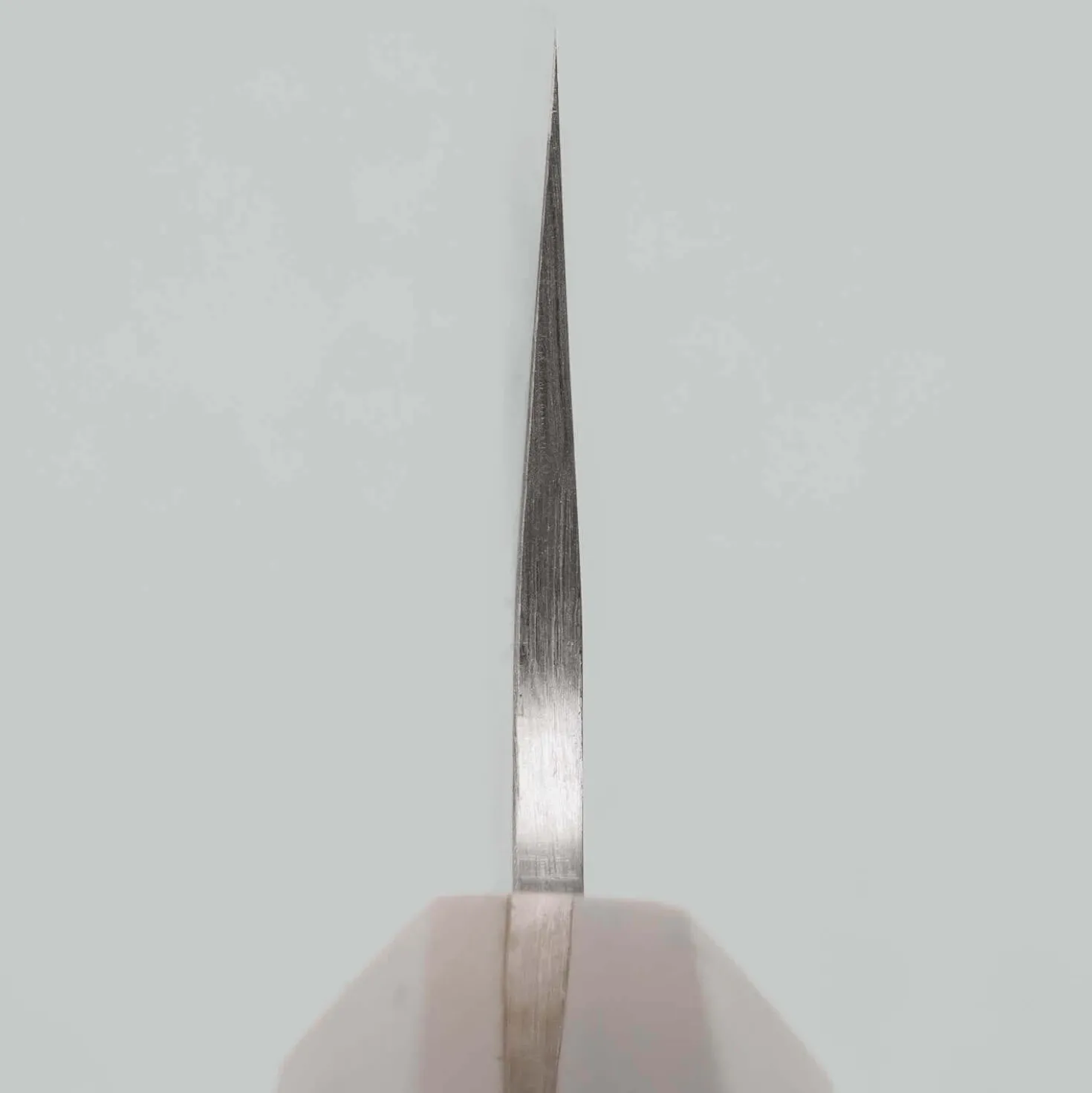 Kazoku Kegawa Ginsan Bunka 17 cm