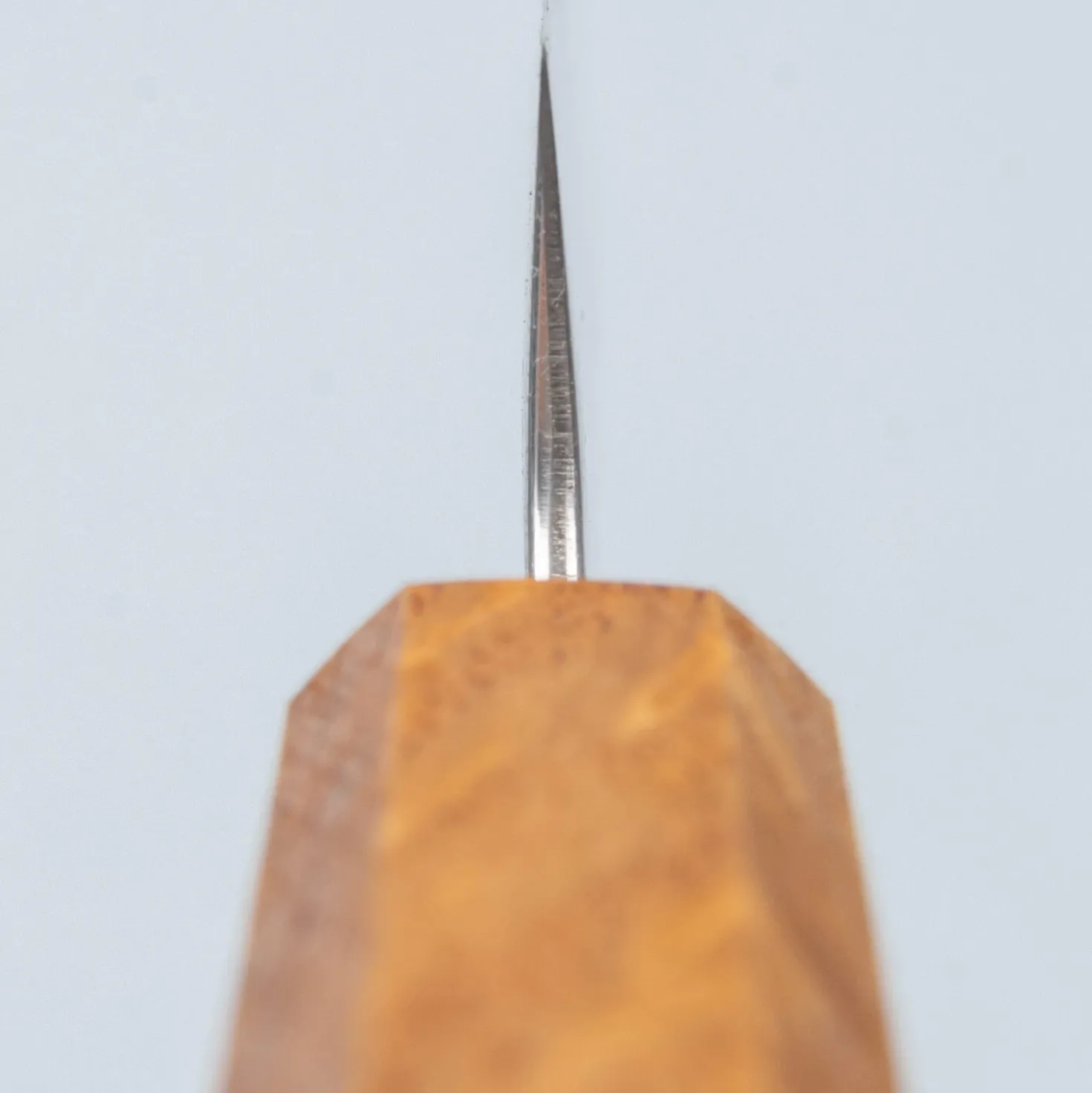 Kazoku Mabushii Petty 15 cm