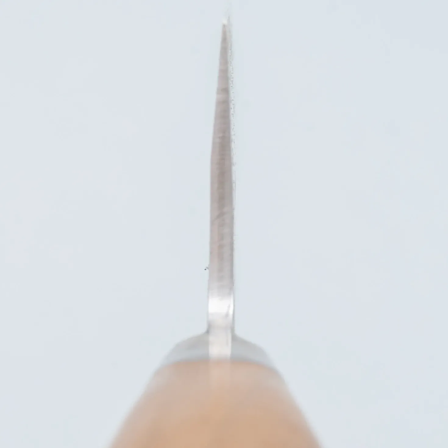 Kazoku Mayonaka Gyuto 21 cm
