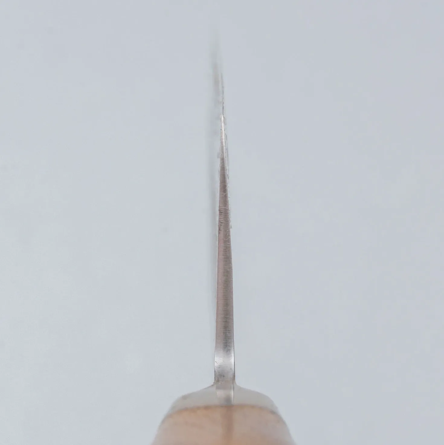 Kazoku Mayonaka Nakiri 16 cm