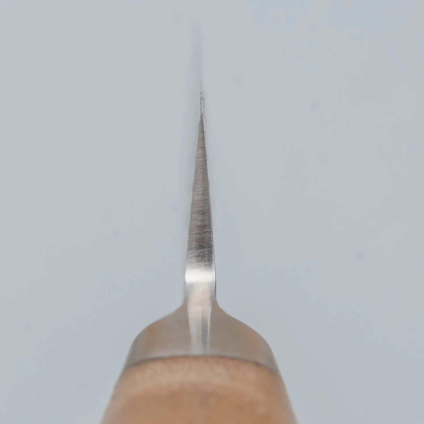 Kazoku Mayonaka Petty 9 cm