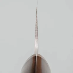 Kazoku Renka Bunka 16.5 cm