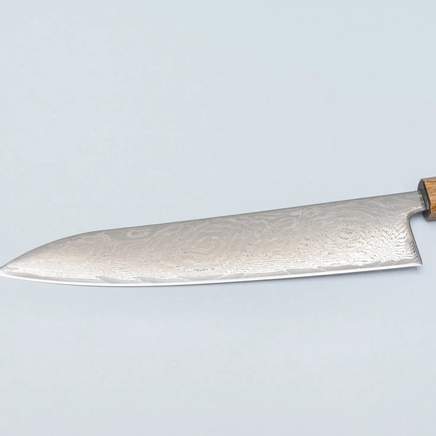 Kazoku Taifuu Gyuto 24 cm