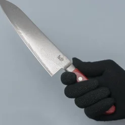 Kazoku Taifuu Western Gyuto 21 cm